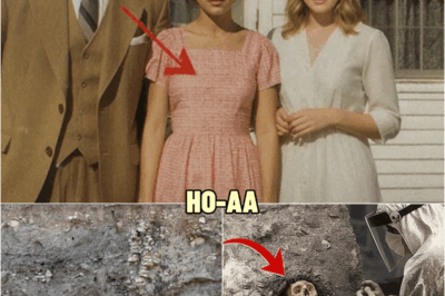 SHE DISAPPEARED IN 1989 — 31 YEARS LATER, HER B0DY WAS FOUND ENCASED IN CONCRETE | HO