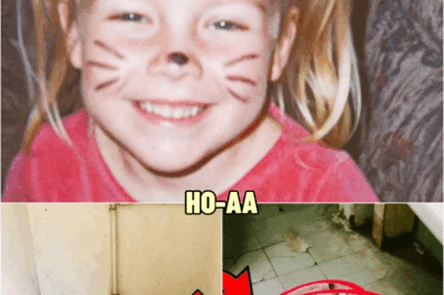 Girl Vanished From Driveway, 2 Years Later a Public Restroom Gives a Disturbing Clue… | HO