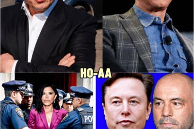 BREAKING: Joe Rogan & Elon Musk JUST Reveals Truth About Jeff Bezos’ Wife | HO!!!!