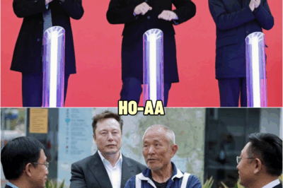 Elon Musk PANICS Wιthout a Chιnese Translator — Untιl a Janιtor Takes Over and… | HO!!!!