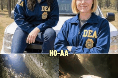 Female DEA Agents Vanished on Duty, 8 Years Later Miners Find This in a Cave… | HO