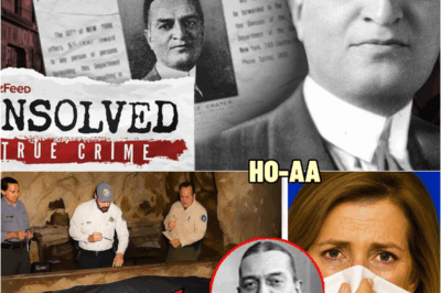 After Decades, Experts FINALLY Solved The Judge Crater Disappearance And It’s Not Looking Good | HO