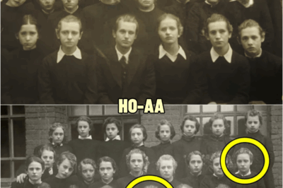 Schoolgirls Pose For Class Photo 50 Years Later, Experts Zoom In and Get The Shock Of Their Lives! | HO