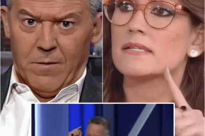 OH MY!! Greg Gutfeld STOPS THE ENTIRE SHOW After Jessica Tarlov Makes UNFORGIVABLE Mistake LIVE  | HO~