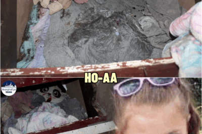Police chief reveals how 6-year-old girl was found alive under staircase two years after she was reported missing | HO!!!!