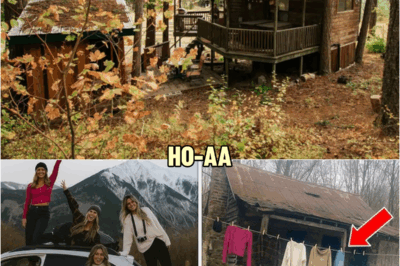 College Friends Vanished on a Mountain Trip — 2 Years Later, Hikers Found This in an Abandoned House | HO
