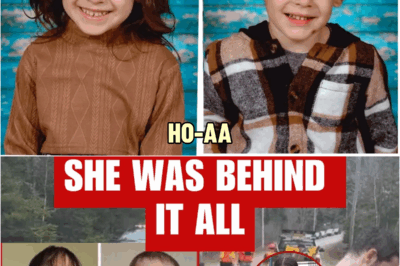 Breakthrough in Lily and Jack Sullivan Case — Did Malehya Plan It? | HO!!