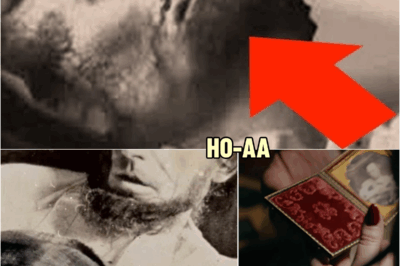 Uncovering the Mysteries of Abraham Lincoln’s Rare Photographs 🔍🤵🏼 | HO!!