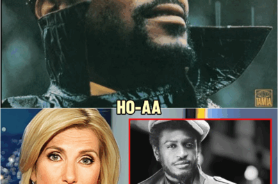 Marvin Gaye Mystery Is Finally Solved…And It Confirms What We Suspected | HO!!