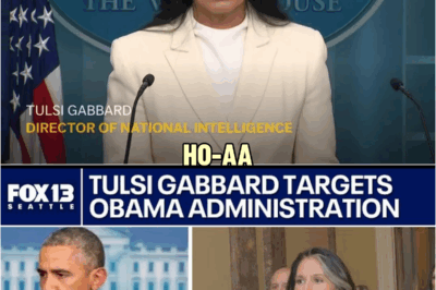 THEY CAN’T STOP IT NOW! Tulsi Gabbard WRECKS Obama With Receipts | HO~
