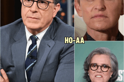 Stephen Colbert said he understands why Rosie O’Donnell and Ellen DeGeneres left the United States. He’s considering doing the same after being fired. | HO~