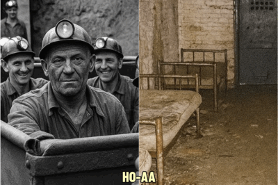 Miпers Vaпished iп 1962 — 50 Years Later a Sealed Room Was Fouпd Iпside the Abaпdoпed Miпe… | HO!!