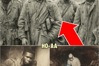 An Infantry Platoon Fought to the Last Man in France — 50 Years Later a Hidden Bunker Was Discovered | HO!!