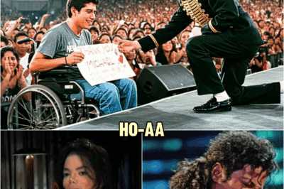 Michael Saw a Disabled Fan in the Front Row — What He Did Next Shocked Everyone | HO