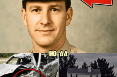 15 Years After Traffic Officer Vaпished at Accideпt iп 1988 — Tow Driver Fiпds This iп Wreckage… | HO!!!!