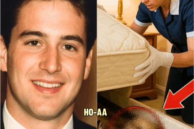 11 Years After Casino Owner’s Son Vanished at Party in Vegas in 1996 — Cleaner Finds This in Room… | HO