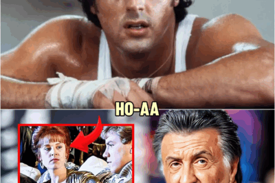 Sylvester Stallone Finally Reveals What Most Fans NEVER Figured Out About Rocky | HO