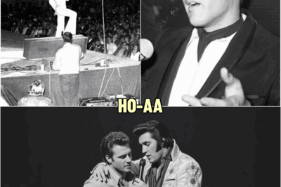 DRUNK heckler challenged Elvis on stage — what Elvis did next STUNNED 20,000 people | HO!!