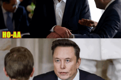 At 54, Elon Musk FINALLY Breaks Silence on His Secret Meetings With Epstein