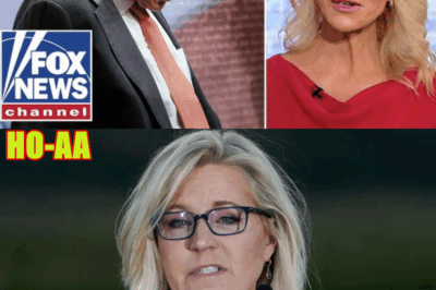 ‘PROFOUNDLY STUPID’: Liberal Pundits Unload on Dems’ Denial