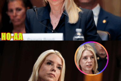 Pam Bondi Announces Nearly 200 Arrests in Trump Crime Crackdown