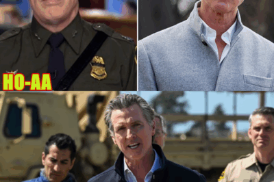 Border Patrol Fires Back at Newsom over LA ICE Raid Claims