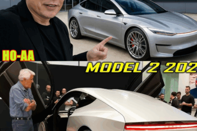 No More $10,959! Elon Musk Dropped 2026 Tesla Model 2 For The Masses!
