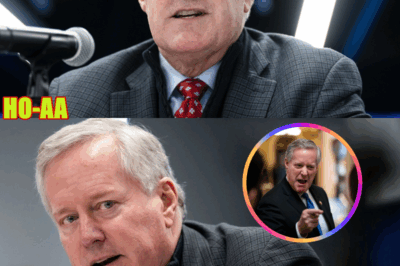 Mark Meadows Calls Out the ‘TROUBLING’ Part of Newly Declassified ‘Russiagate’ Emails