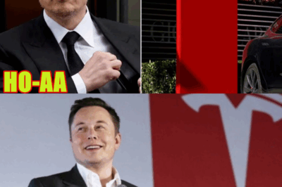 Tesla Faces Challenges After Protests Over Elon Musk Controversy