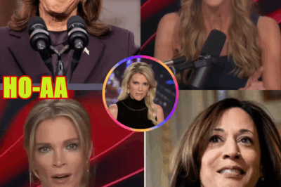 “F*ing stupid’: Megyn Kelly Blasts Vanity Fair for ‘Alienating’ Half of America”**