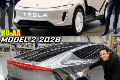 2026 Tesla Model 2 by Elon Musk: INSANE Interior You Need to Know