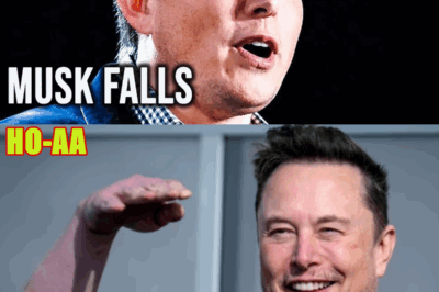 Elon Musk COLLAPSES Into Madness With Insane Conspiracy Over Trading Women