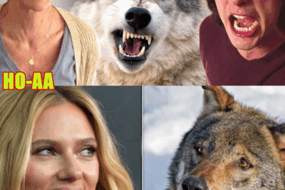 How Scarlett Johansson and Adam Driver Are Being Used to Stop Wolves From Killing Cows