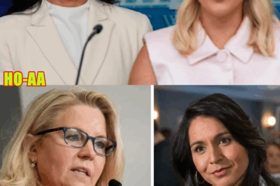 “They Won’t Get Away with This”: Tulsi Gabbard’s Fight Against the ‘Deep State’