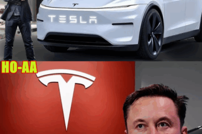 The End of BYD! Elon Musk Confirms 2025 Model Y Has 7 Major Improvements That Will Make Competitors Pale