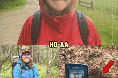 Hiker Vanished in Appalachians, 6 Years Later Explorers Pick Up a Strange Signal Near Cave… | HO!!!!