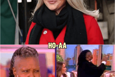 Fox News erupted: Karoline Leavitt “crushed” The View with a single devastating line — Whoopi was stunned, the hosts couldn’t react…| HO~