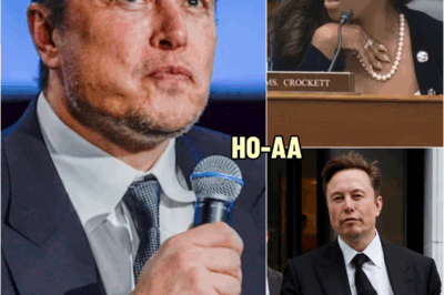 Elon Musk MOCKED Jasmine Crockett’s Law Degree — 23 Seconds Later She UNSEALED His Tax Fraud Scandal | HO~