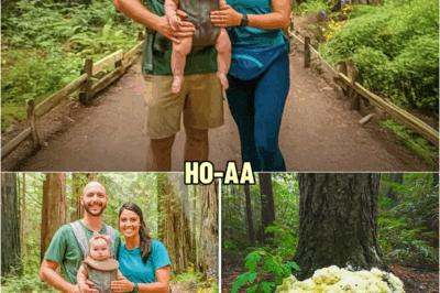 They Vanished in Redwoods, 4 Years Later Hikers Find a Strange Fungus Infestation at Tree… | HO