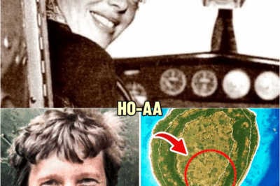 Amelia Earhart’s Plane was Just Found! The Location Will Shock You | HO!!!!