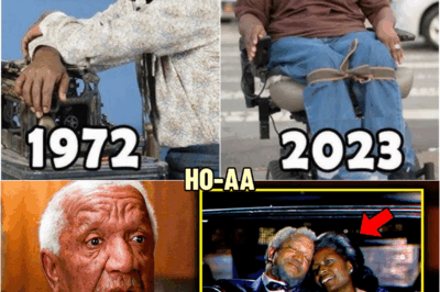 Sanford And Son (1972) Cast Reveals What Most Fans Never Figured Out | HO!!!!