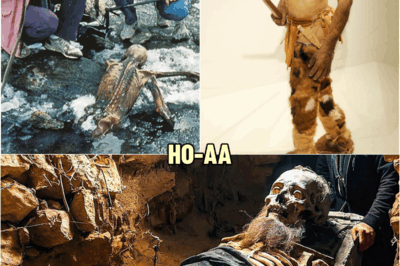 Scientists Sequenced Ötzi The Iceman’s DNA Ancestry And What Was Found Shocked The World! | HO!!