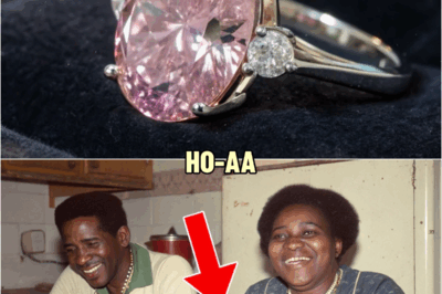 $1,5M in Jewels Stolen in a 1969 Heist — 54 Years Later, a Pawn Shop Scanner Beeps on a Rare Gem | HO!!!!
