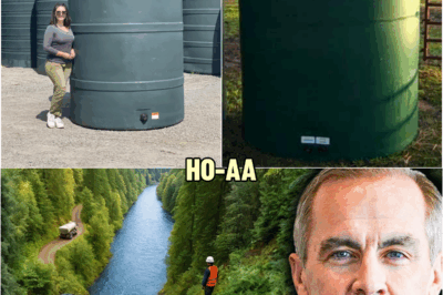 Canada Put Billions of Gallons of Water in the Forest… 10 Years Later, Everyone Was Shocked | HO!!!!