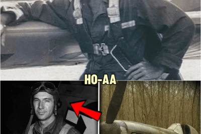 Fighter Pilot Vanished in 1943 — 60 Years Later, His Rusted Plane Was Found in a Forest… | HO!!