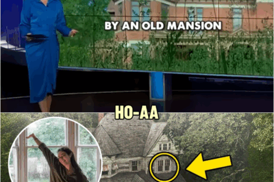 This Couple Was Renovating a 160-Year-Old Mansion, And What They Found Inside Shocked Everyone | HO!!