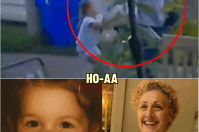 SOLVED After 53 Years: The Shocking Story of Susan Gervaise | Found Alive After Passport Application | HO!!