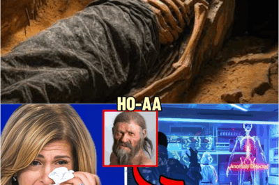 Scientists Sequenced Ötzi The Iceman’s DNA Ancestry — And What Was Found Shocked The Entire World! | HO!!