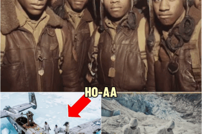 A WWII Bomber Vanished in 1944 — 60 Years Later Hikers Found It Frozen in a Glacier | HO